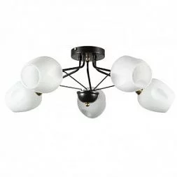 Потолочная люстра Arte Lamp BRIGHTON Коричневый A2706PL-5CK