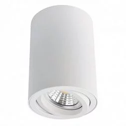 Arte Lamp SENTRY Белый A1560PL-1WH