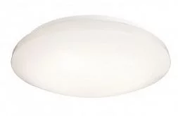 Потолочный светильник Deko-Light Euro LED II 40 348021